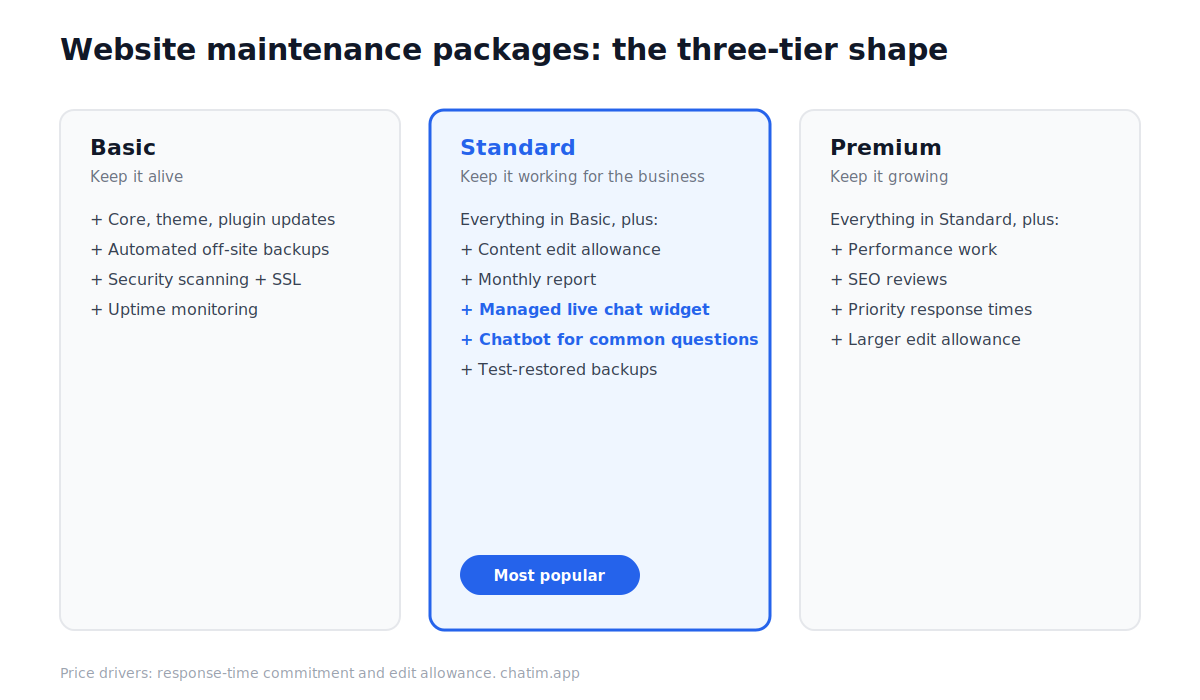 Website maintenance package structure: basic tier with updates, backups and monitoring; standard tier adding content edits, reports and live chat management; premium tier adding performance, SEO reviews and priority support